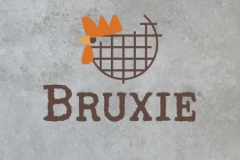 bruxierendering3